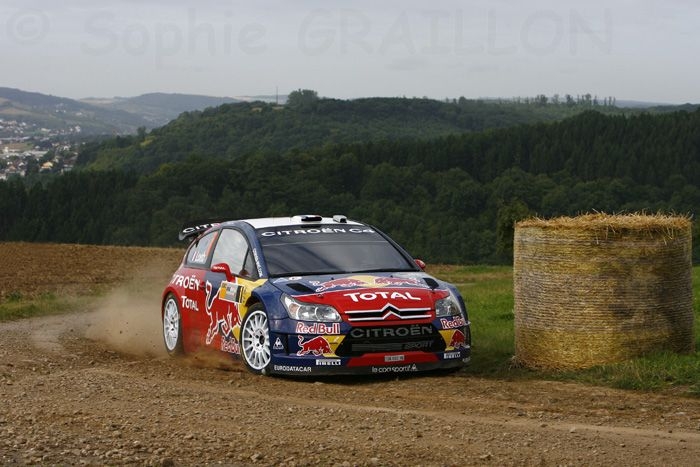 Loeb-Elena  Shakedown.jpg